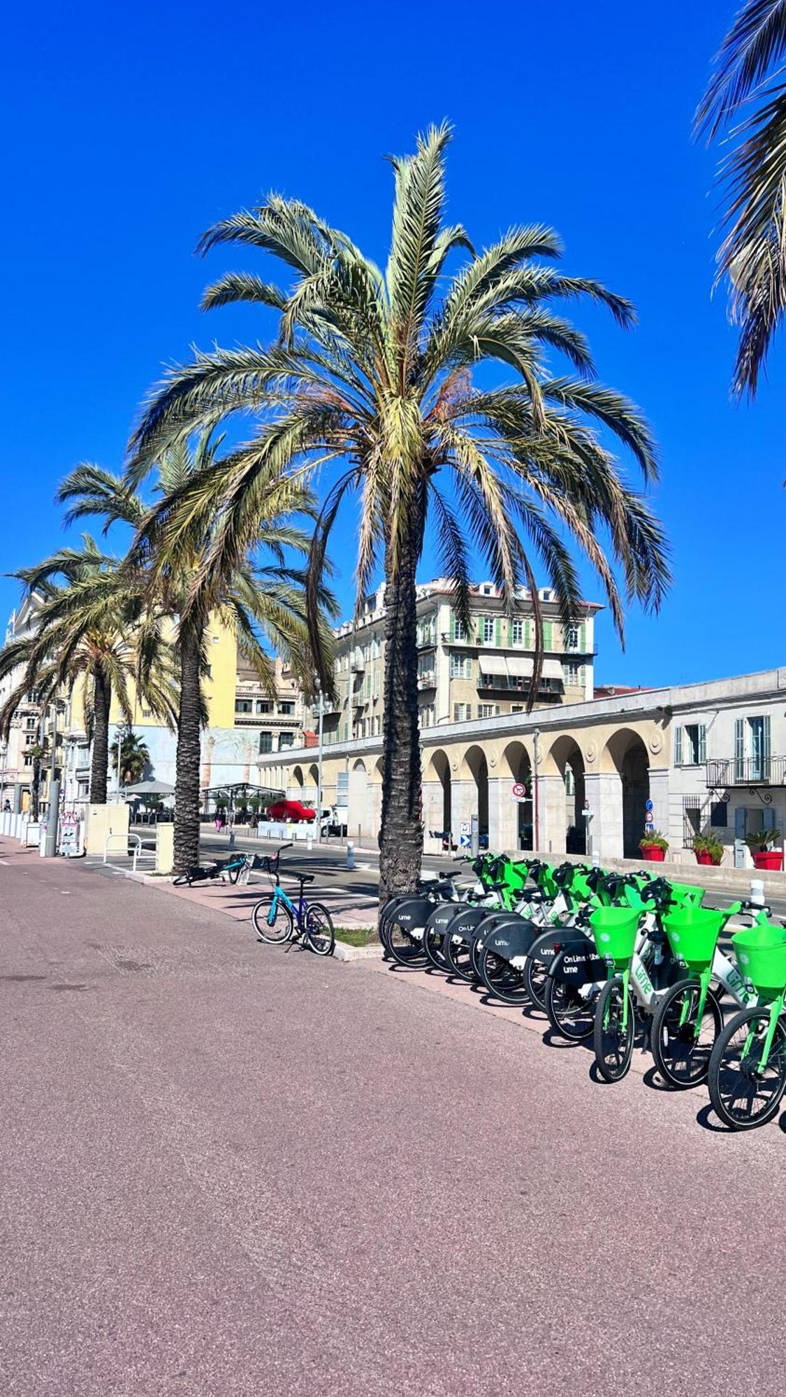 Appartamento Au Petit Bourgeois Nizza Esterno foto